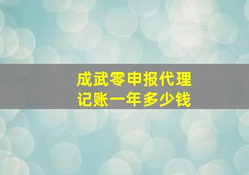 成武零申报代理记账一年多少钱