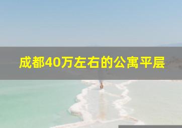 成都40万左右的公寓平层