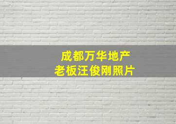 成都万华地产老板汪俊刚照片