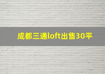 成都三通loft出售30平