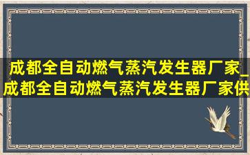 成都全自动燃气蒸汽发生器厂家_成都全自动燃气蒸汽发生器厂家供应