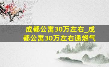 成都公寓30万左右_成都公寓30万左右通燃气