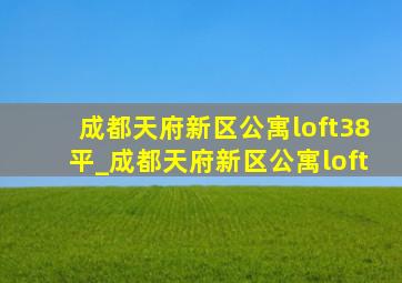 成都天府新区公寓loft38平_成都天府新区公寓loft