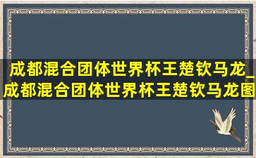 成都混合团体世界杯王楚钦马龙_成都混合团体世界杯王楚钦马龙图片