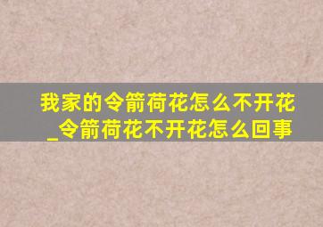 我家的令箭荷花怎么不开花_令箭荷花不开花怎么回事