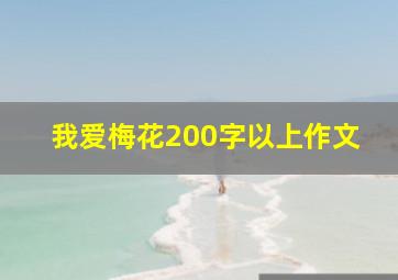 我爱梅花200字以上作文