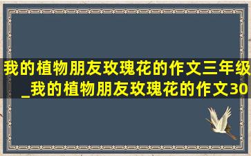 我的植物朋友玫瑰花的作文三年级_我的植物朋友玫瑰花的作文300字