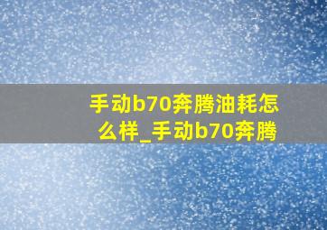 手动b70奔腾油耗怎么样_手动b70奔腾