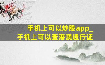 手机上可以炒股app_手机上可以查港澳通行证