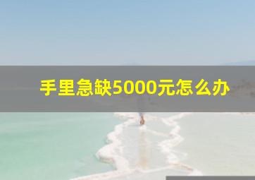 手里急缺5000元怎么办