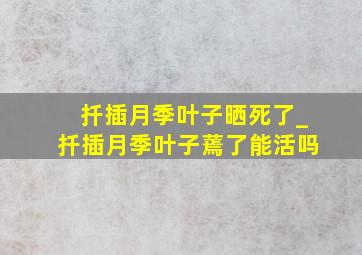 扦插月季叶子晒死了_扦插月季叶子蔫了能活吗