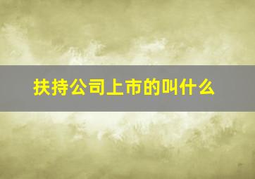 扶持公司上市的叫什么