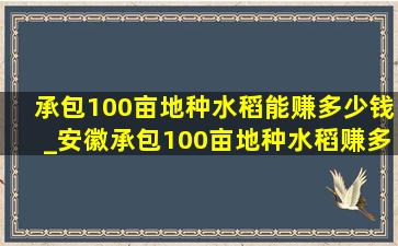 承包100亩地种水稻能赚多少钱_安徽承包100亩地种水稻赚多少钱