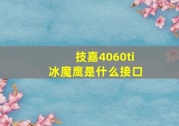 技嘉4060ti冰魔鹰是什么接口