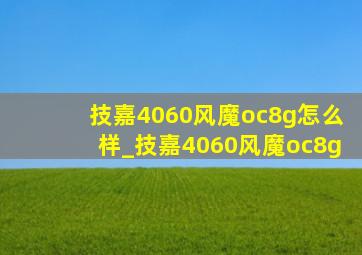 技嘉4060风魔oc8g怎么样_技嘉4060风魔oc8g