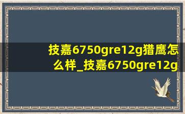 技嘉6750gre12g猎鹰怎么样_技嘉6750gre12g猎鹰多大电源