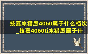 技嘉冰猎鹰4060属于什么档次_技嘉4060ti冰猎鹰属于什么档次的