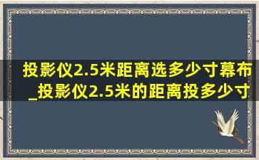 投影仪2.5米距离选多少寸幕布_投影仪2.5米的距离投多少寸合适