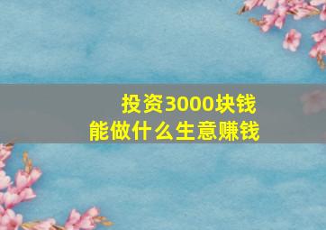 投资3000块钱能做什么生意赚钱