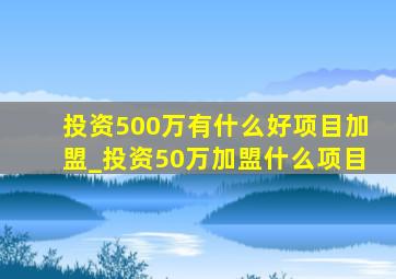 投资500万有什么好项目加盟_投资50万加盟什么项目