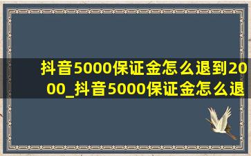 抖音5000保证金怎么退到2000_抖音5000保证金怎么退