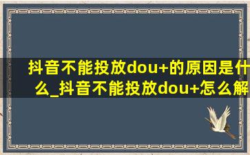 抖音不能投放dou+的原因是什么_抖音不能投放dou+怎么解决