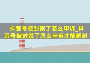 抖音号被封禁了怎么申诉_抖音号被封禁了怎么申诉才能解封