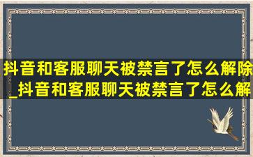 抖音和客服聊天被禁言了怎么解除_抖音和客服聊天被禁言了怎么解