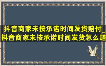 抖音商家未按承诺时间发货赔付_抖音商家未按承诺时间发货怎么赔