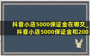 抖音小店5000保证金在哪交_抖音小店5000保证金和2000的差别