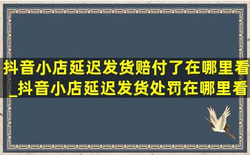 抖音小店延迟发货赔付了在哪里看_抖音小店延迟发货处罚在哪里看