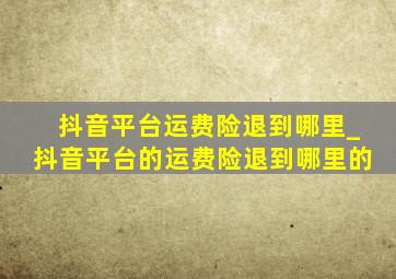 抖音平台运费险退到哪里_抖音平台的运费险退到哪里的