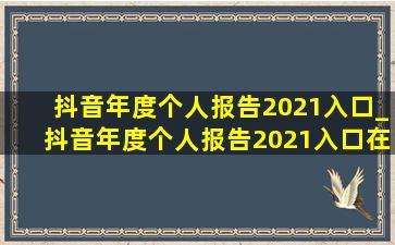 抖音年度个人报告2021入口_抖音年度个人报告2021入口在哪里