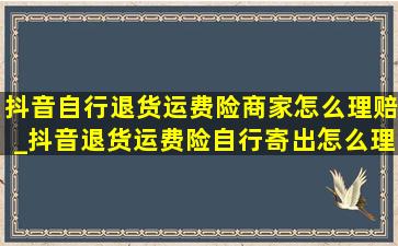 抖音自行退货运费险商家怎么理赔_抖音退货运费险自行寄出怎么理赔