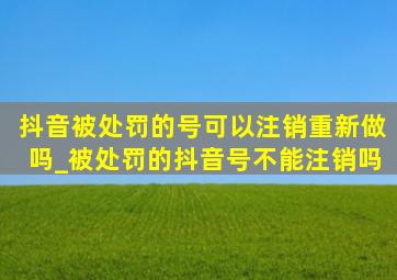 抖音被处罚的号可以注销重新做吗_被处罚的抖音号不能注销吗