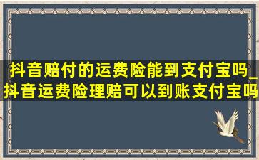 抖音赔付的运费险能到支付宝吗_抖音运费险理赔可以到账支付宝吗