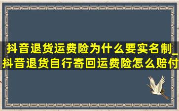 抖音退货运费险为什么要实名制_抖音退货自行寄回运费险怎么赔付