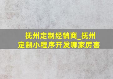 抚州定制经销商_抚州定制小程序开发哪家厉害