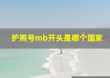 护照号mb开头是哪个国家