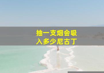 抽一支烟会吸入多少尼古丁