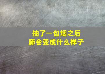 抽了一包烟之后肺会变成什么样子