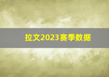 拉文2023赛季数据