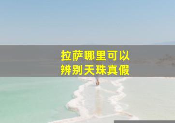 拉萨哪里可以辨别天珠真假