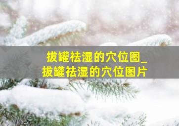 拔罐祛湿的穴位图_拔罐祛湿的穴位图片