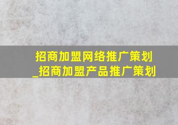 招商加盟网络推广策划_招商加盟产品推广策划