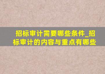 招标审计需要哪些条件_招标审计的内容与重点有哪些