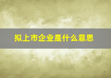 拟上市企业是什么意思