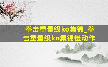 拳击重量级ko集锦_拳击重量级ko集锦慢动作