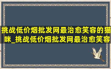 挑战(低价烟批发网)最治愈笑容的猫咪_挑战(低价烟批发网)最治愈笑容