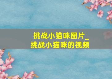 挑战小猫咪图片_挑战小猫咪的视频